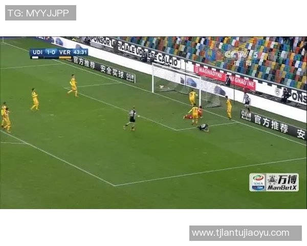 武汉排球队在亚运会上的技术表现分析与未来展望